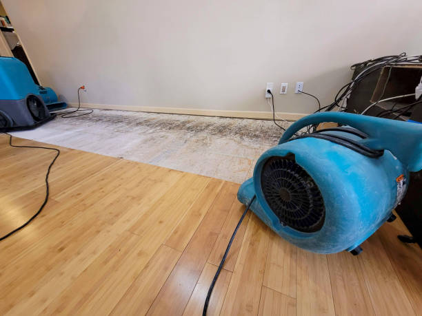 Professional Water Damage Repair technician working in Emeryville, CA